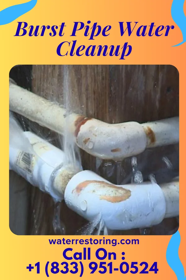 Burst Pipe Water Cleanup in Oakland, PA