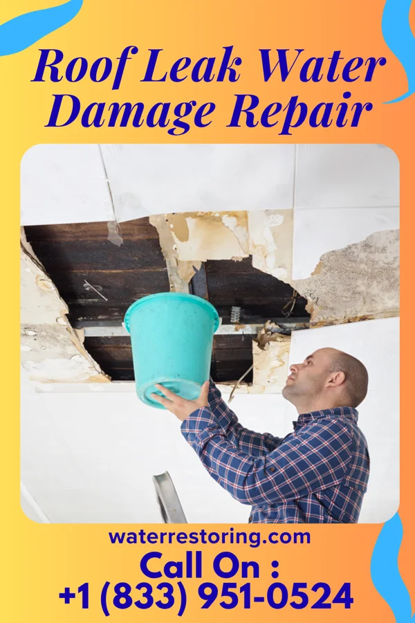 Roof Leak Water Damage Repair in Oakland, PA