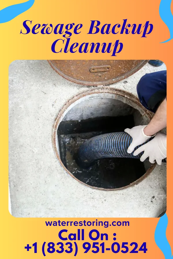 Sewage Backup Cleanup in Oakland, PA