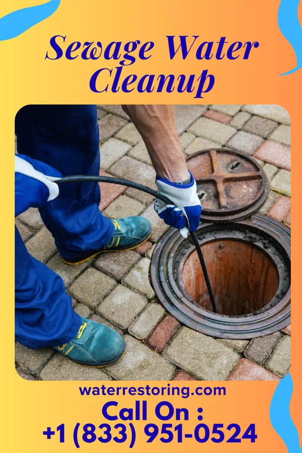Sewage Water Cleanup in Oakland, PA